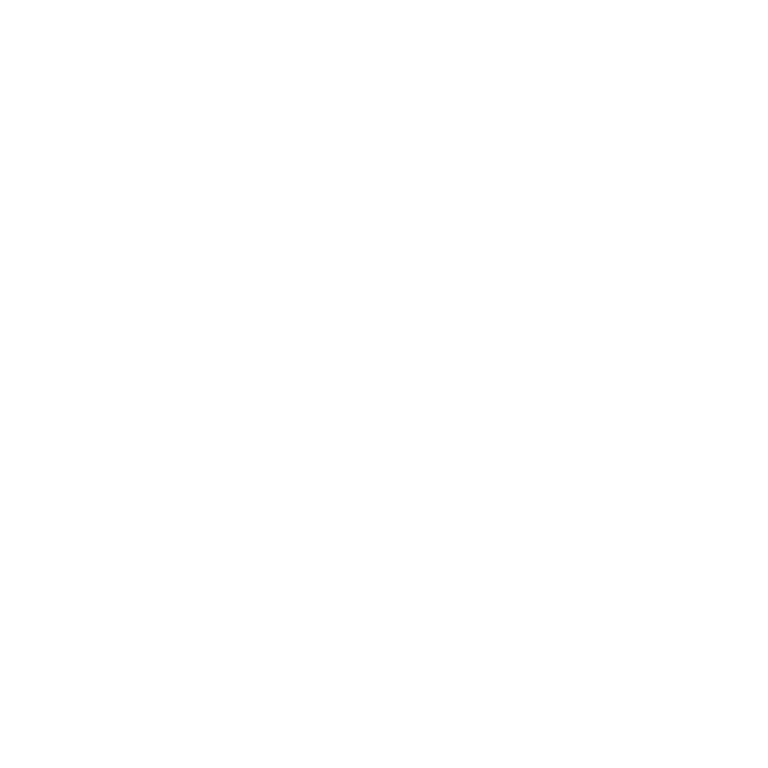 Socionet Logo